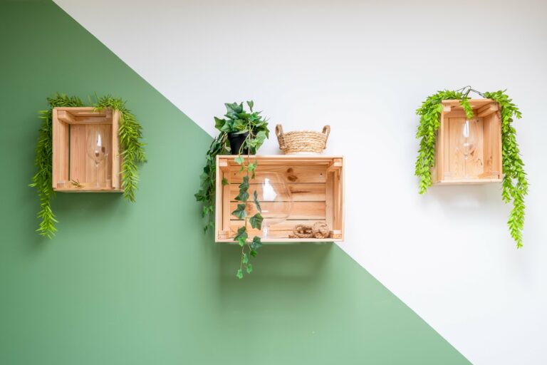 Photo immobiliere Gironde Charente Maritime